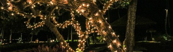 Tips for outdoor lighting from the San Luis Obispo electric company